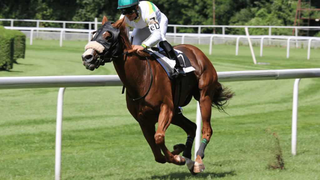 a jockey on a horse racing down the track