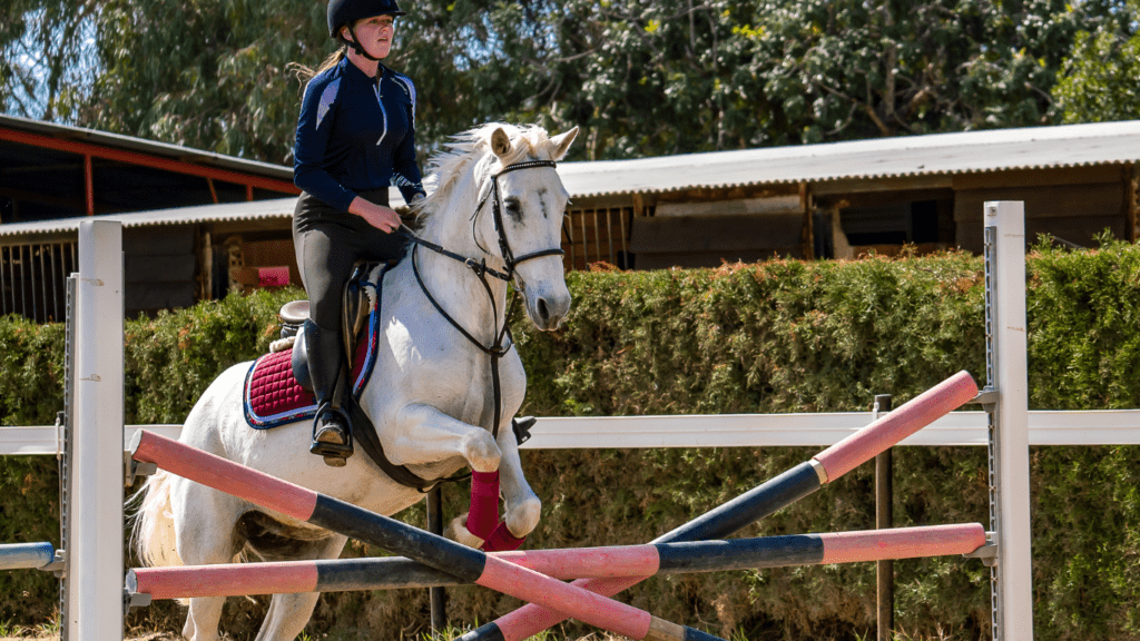 a person riding a white horse over an obstacle