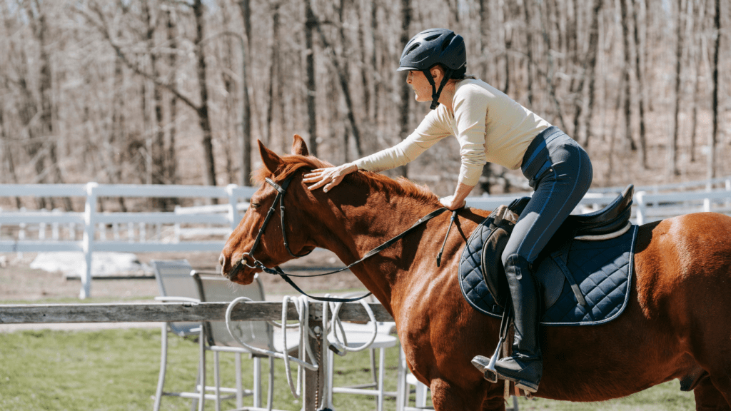 a person is sitting on the back of a horse