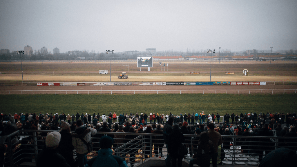 a crowd of people are watching a horse race