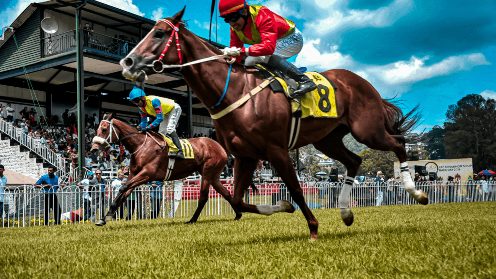 jockeys are racing horses on a grassy field