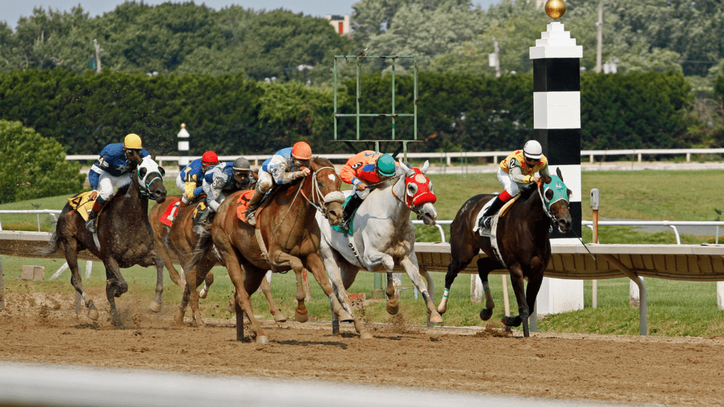 a group of jockeys and horses racing