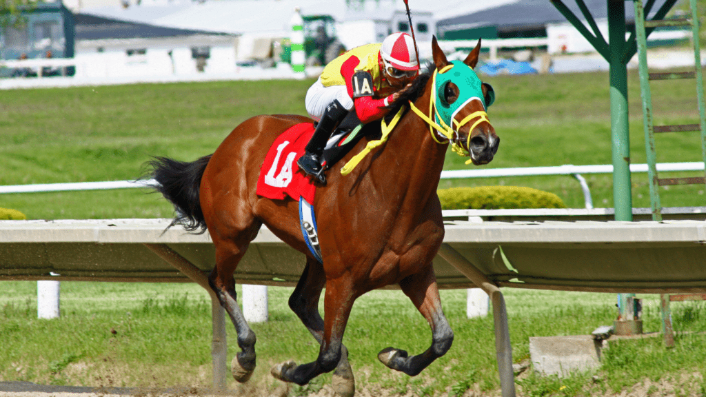 a jockey on a horse racing down the track