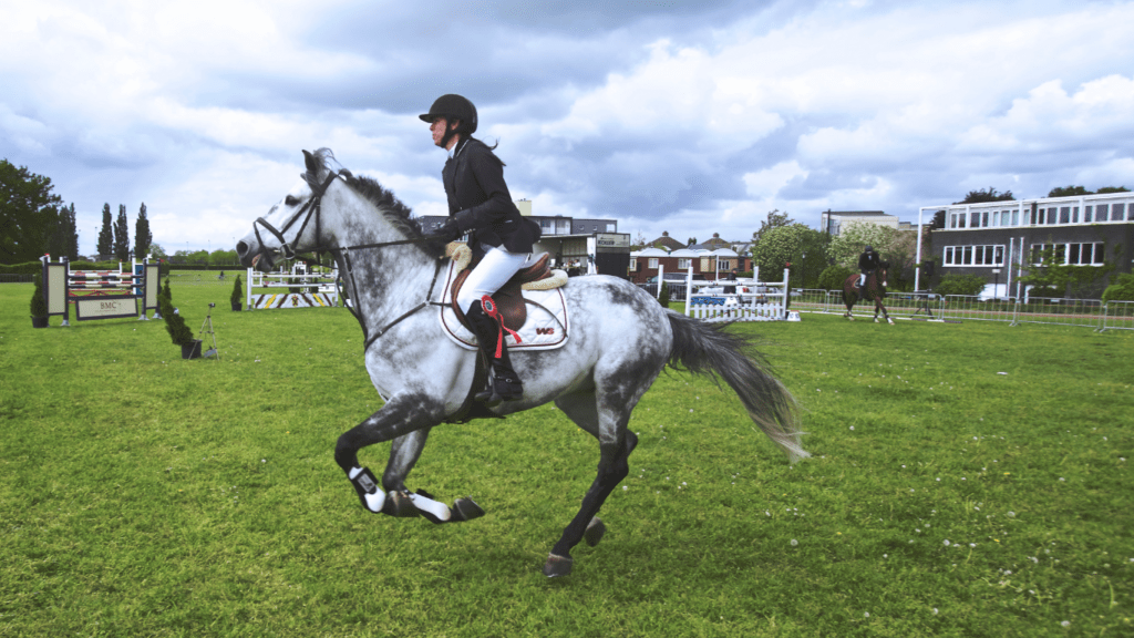 a person is sitting on the back of a horse