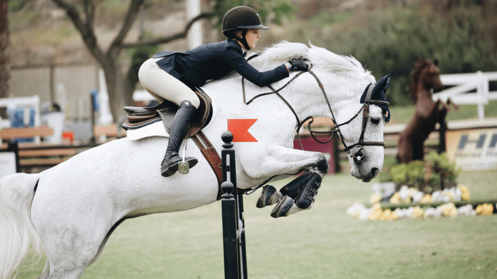 a person riding a white horse over an obstacle