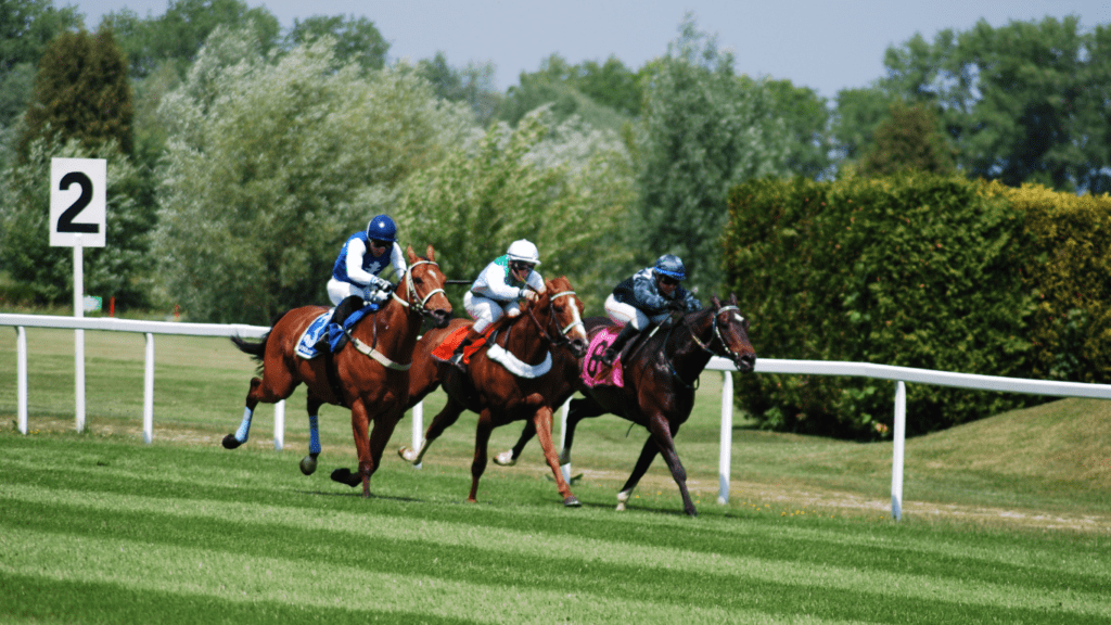 jockeys are racing horses on a grassy field