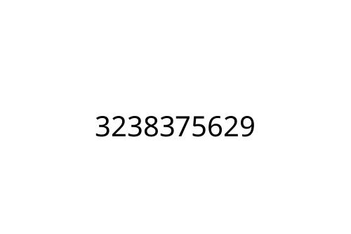 3238375629