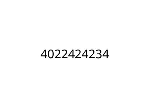 4022424234