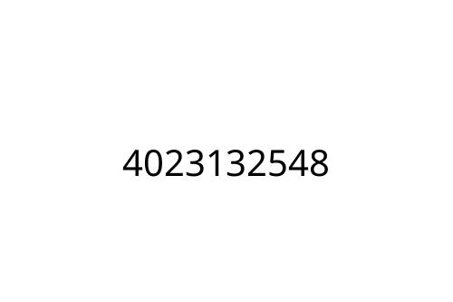 4023132548