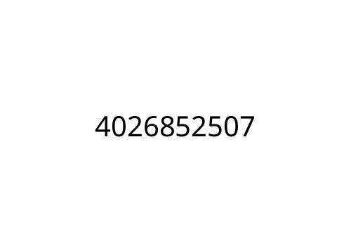 4026852507