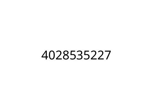 4028535227