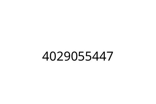 4029055447