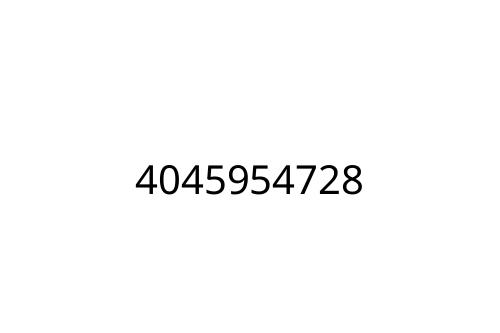 4045954728