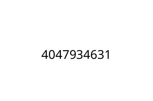 4047934631