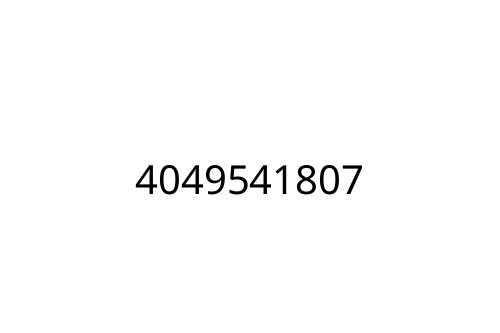 4049541807