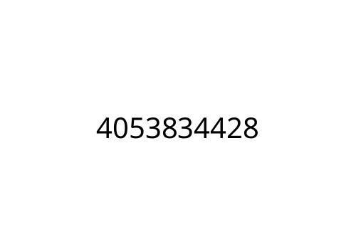 4053834428