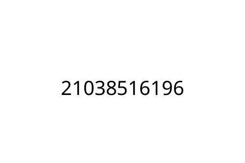 21038516196