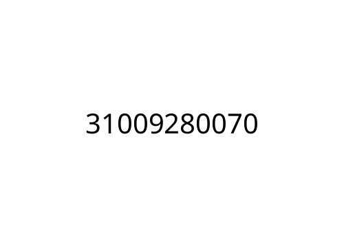 31009280070
