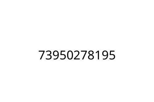 73950278195