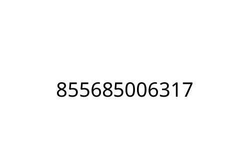 855685006317