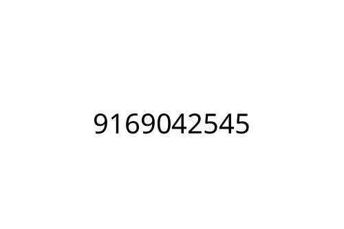9169042545