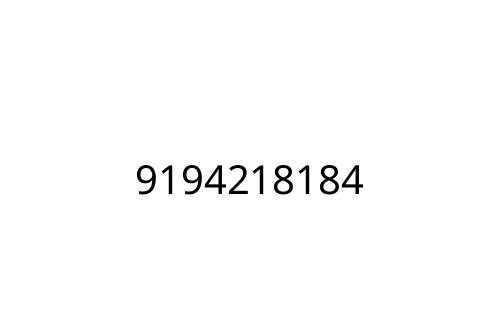 9194218184