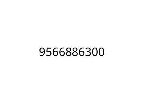 9566886300