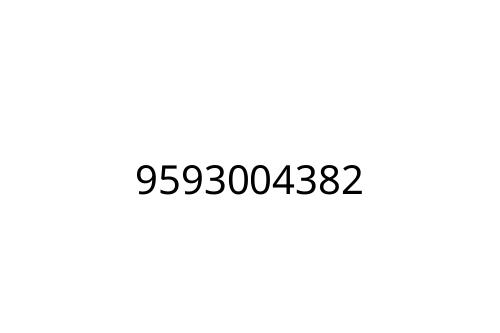 9593004382