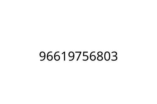 96619756803
