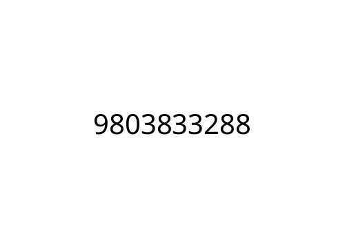 9803833288
