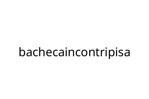 bachecaincontripisa