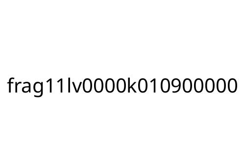 frag11lv0000k010900000