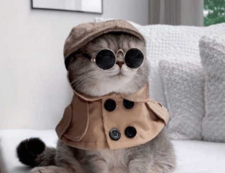 khema rushisvili weightlifting bar