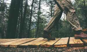 why innerlifthunt game postponed