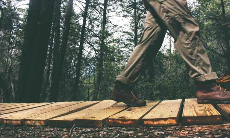 why innerlifthunt game postponed