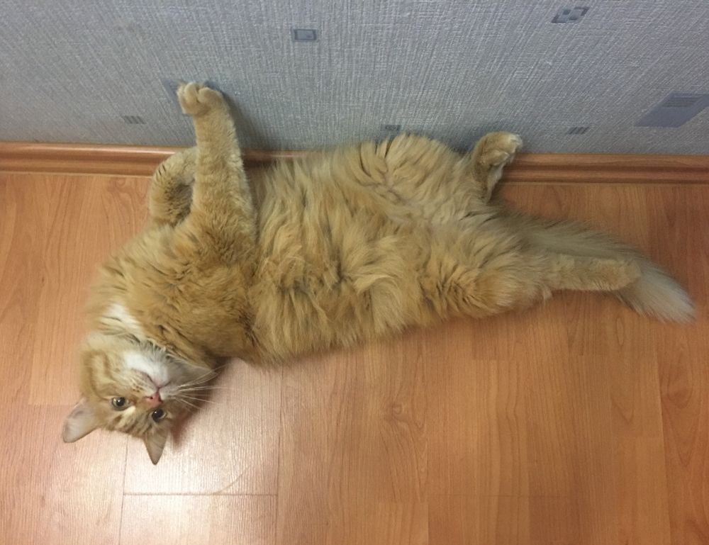 60000 pesos colombianos a soles