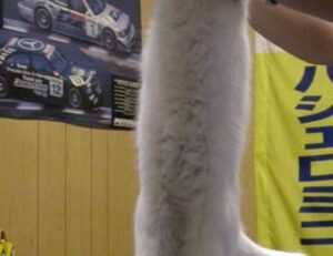 emociones personajes de intensamente para colorear