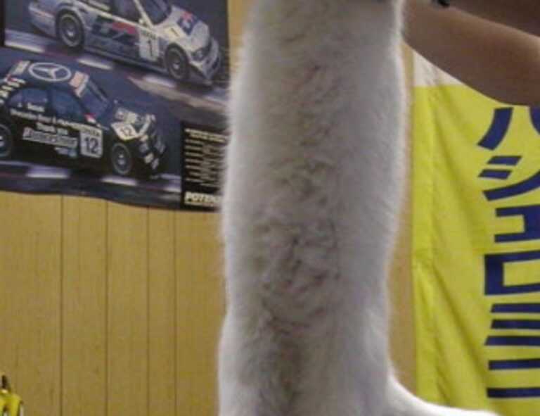 emociones personajes de intensamente para colorear