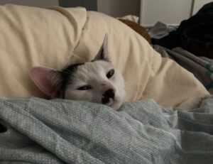 mujer cumpleaños cristianos