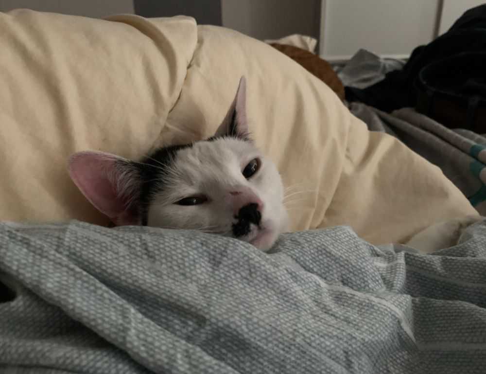 mujer cumpleaños cristianos