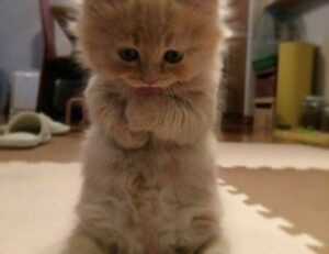 mydoterra login nederlands