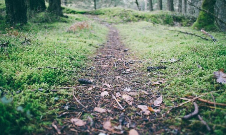 naughty america tele