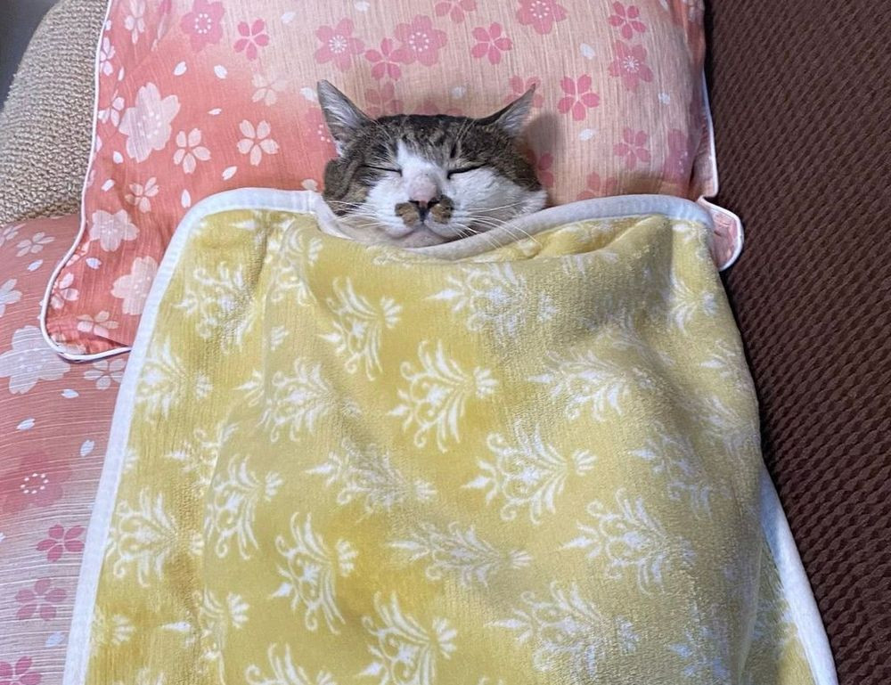 riley mae lewis nude