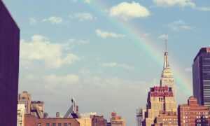 valor de un testiculo