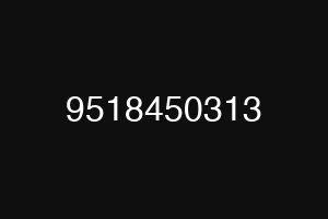 9518450313