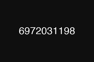 6972031198