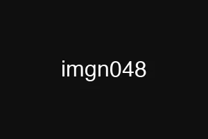 imgn048