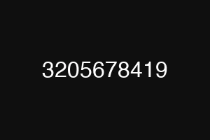 3205678419