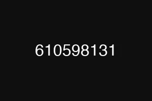 610598131
