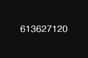 613627120